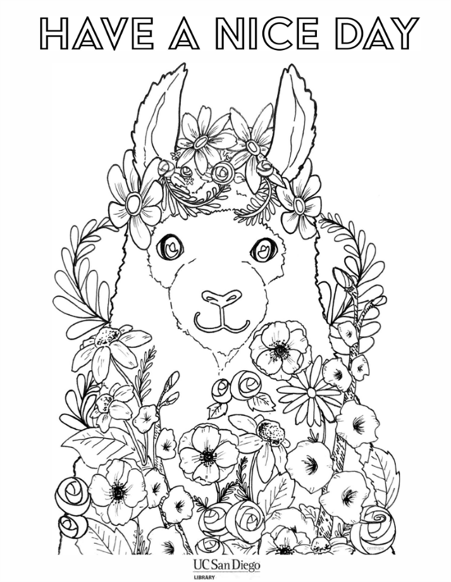 Alpaca saying have a nice day coloring page.