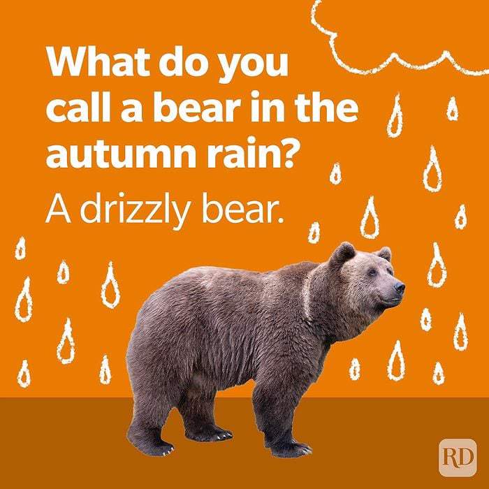 An image of a bear under rain, with the text: "What do you call a bear in the autumn rain? A drizzly bear."