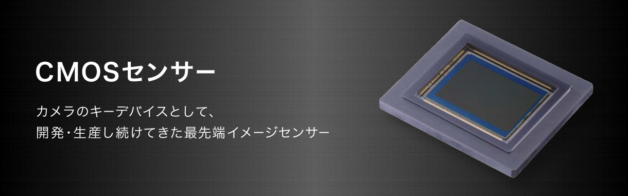 Shinko_Web_2020