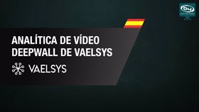 Analítica de Vídeo DeepWall de Vaelsys