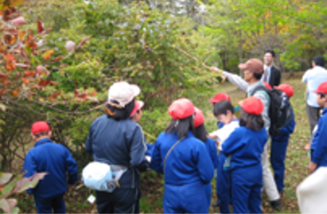 森林教育プログラム