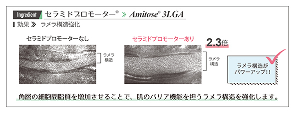 アンケートに回答