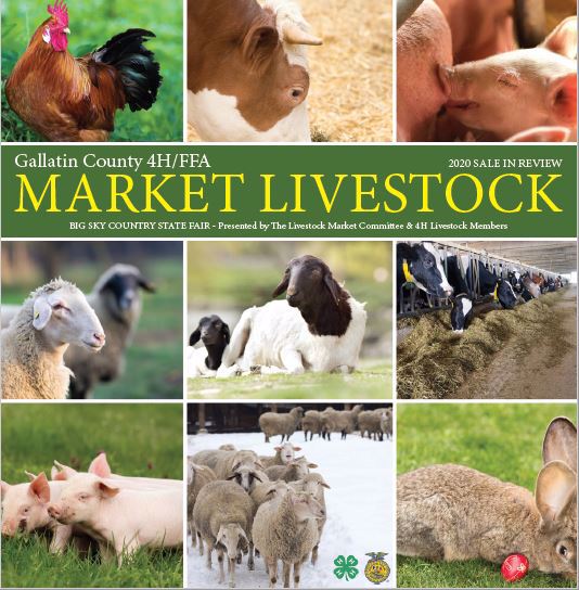 Market Livestock picture of animals