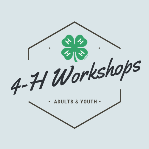 4-H Workshops