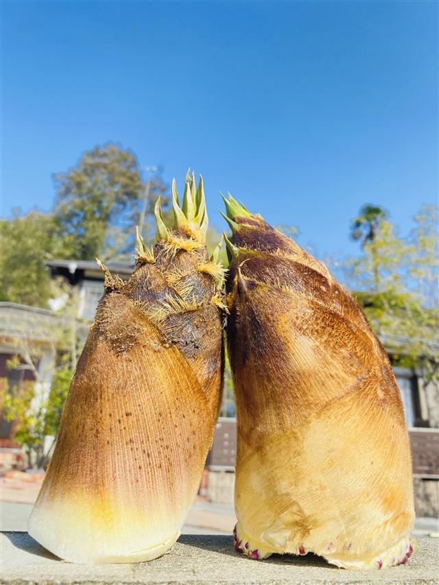 社会保険労務士法人WISE