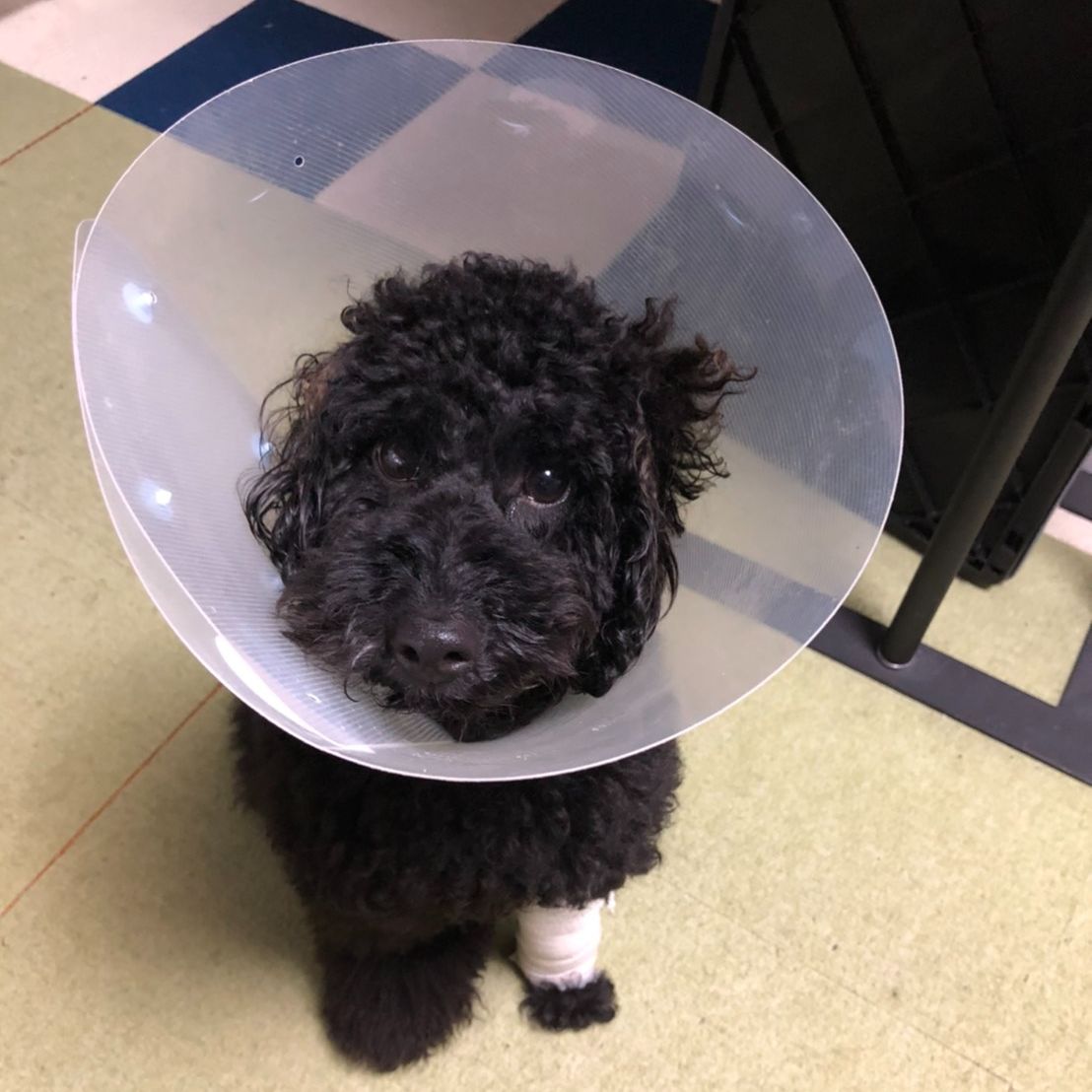 社会保険労務士法人WISE