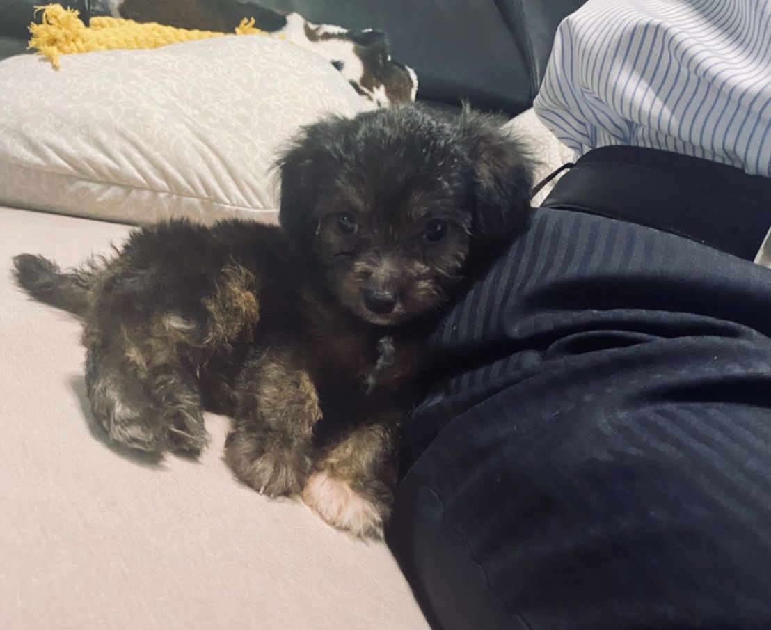 社会保険労務士法人WISE