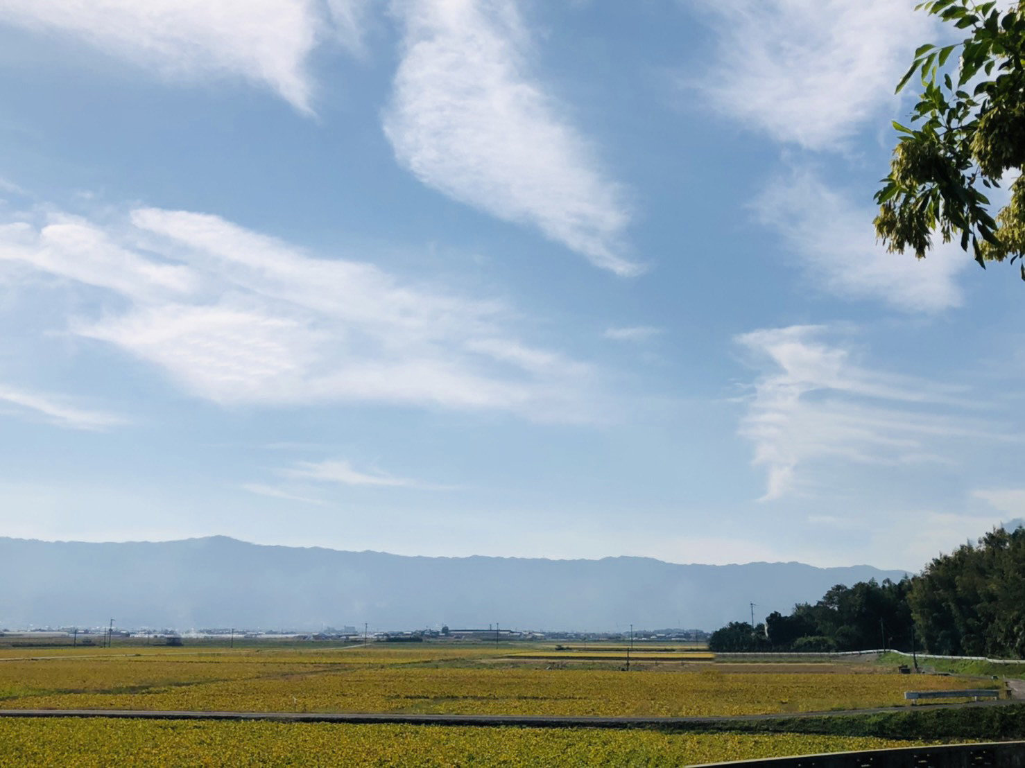 社会保険労務士法人WISE