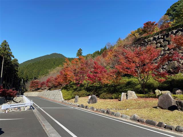 社会保険労務士法人WISE