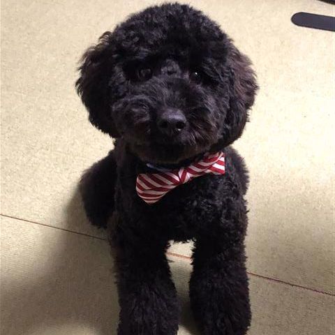 社会保険労務士法人WISE