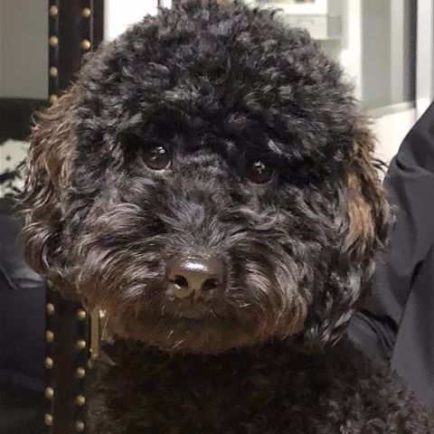 社会保険労務士法人WISE