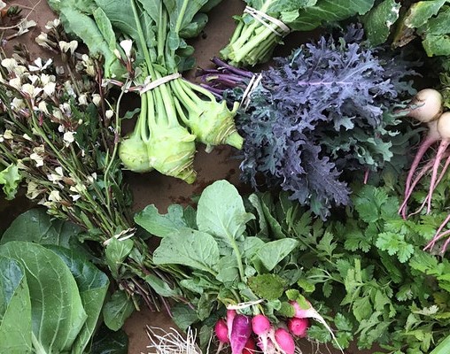 brandon.kroos@austintexas.gov