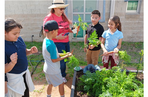 A woman in a red shirt and floppy gardening hat holds a carrot in her hand that was pulled from the garden. Four students stand around her and the garden bed outdoors, and three of the students are holding carrots and all students are smiling.