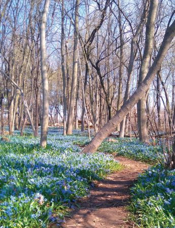 VIRegional.Newsletter@fnha.ca