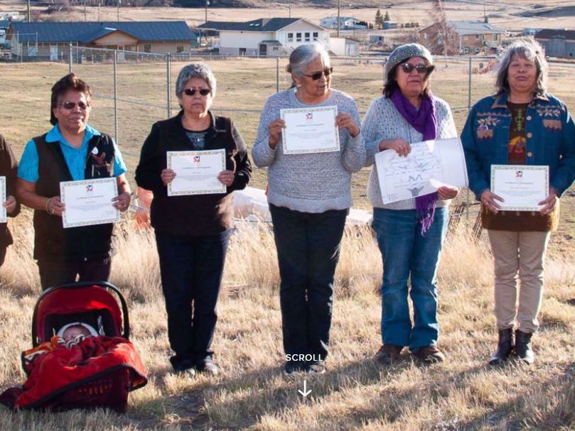 VIRegional.Newsletter@fnha.ca