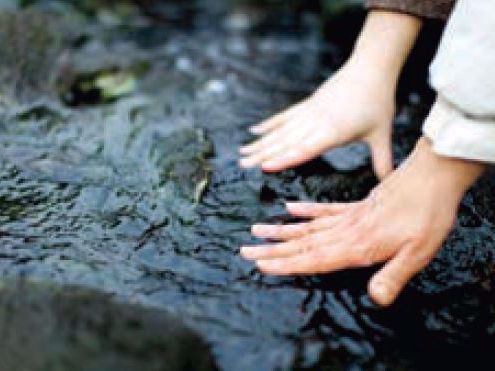 VIRegional.Newsletter@fnha.ca