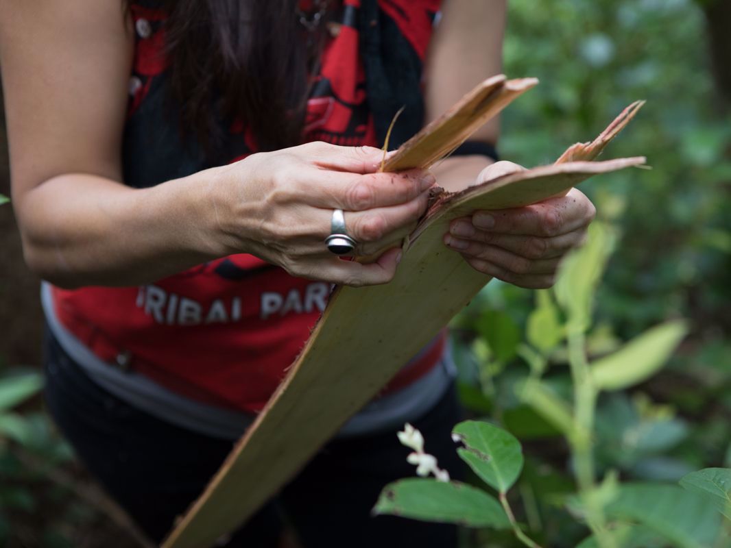 VIRegional.Newsletter@fnha.ca