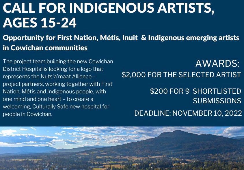 VIRegional.Newsletter@fnha.ca