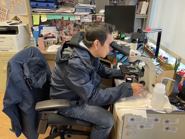 VIRegional.Newsletter@fnha.ca