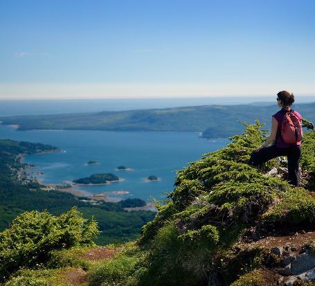 VIRegional.Newsletter@fnha.ca