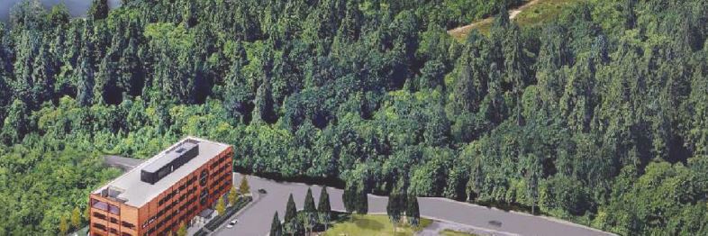 VIRegional.Newsletter@fnha.ca