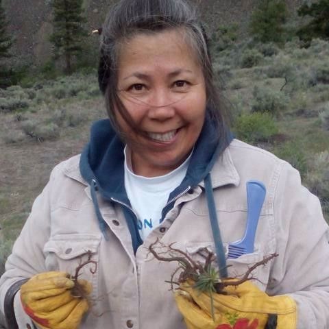 VIRegional.Newsletter@fnha.ca