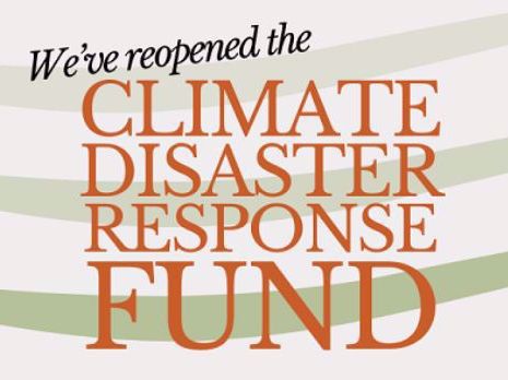 VIRegional.Newsletter@fnha.ca