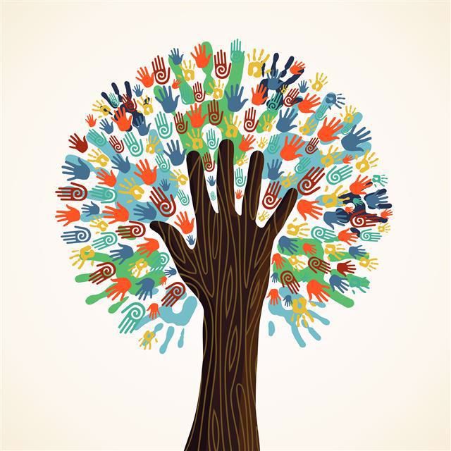 VIRegional.Newsletter@fnha.ca