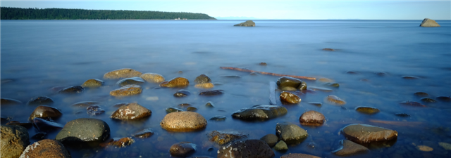 VIRegional.Newsletter@fnha.ca