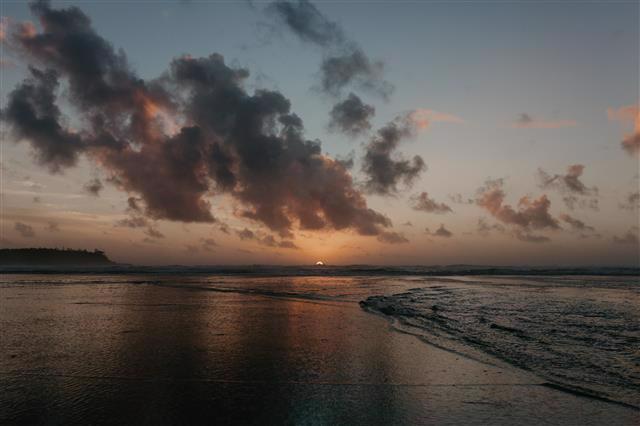 VIRegional.Newsletter@fnha.ca