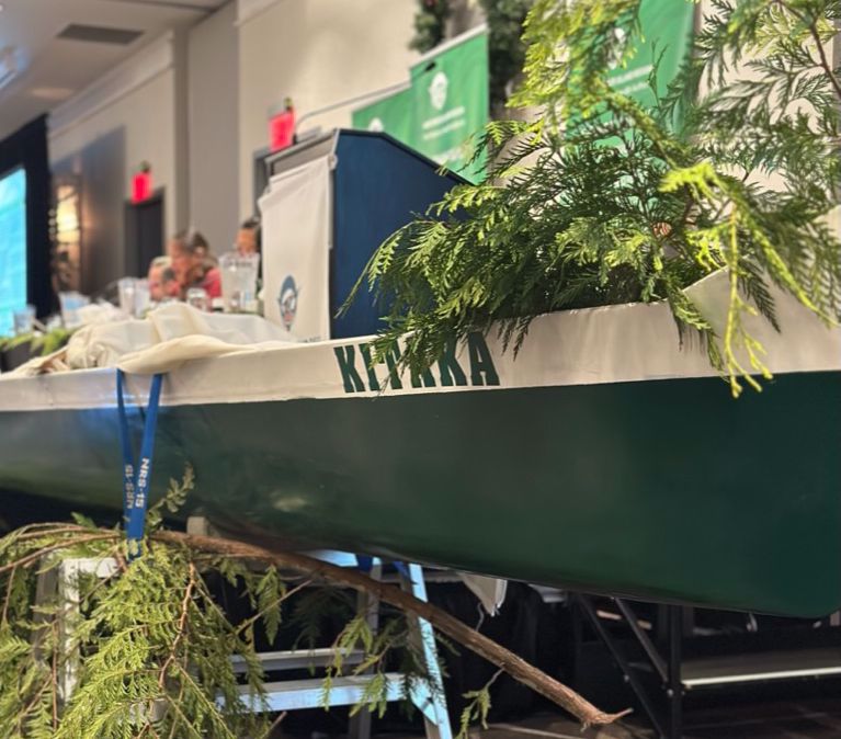 VIRegional.Newsletter@fnha.ca