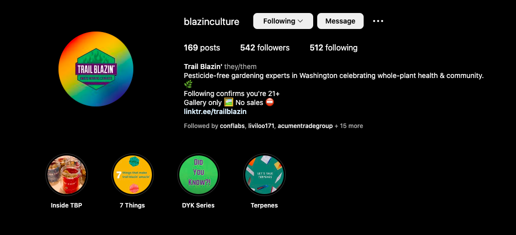Screenshot of the Blazinculture Instagram page