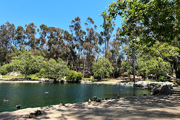 Kenneth Hahn State Recreation Area