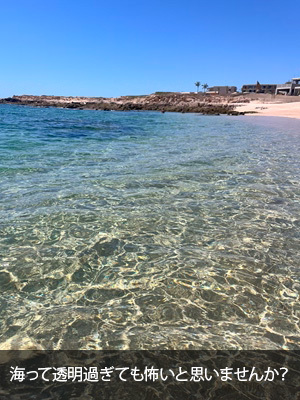 海って透明過ぎても怖いと思いませんか？