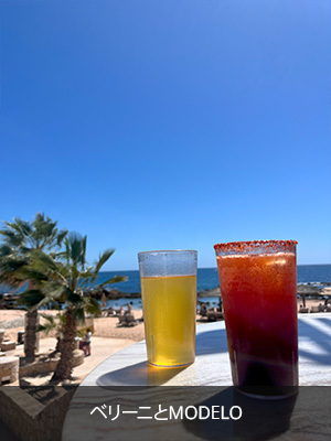 ベリーニとMODELO