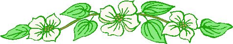flower border