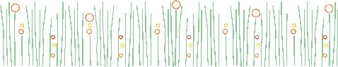 flower border