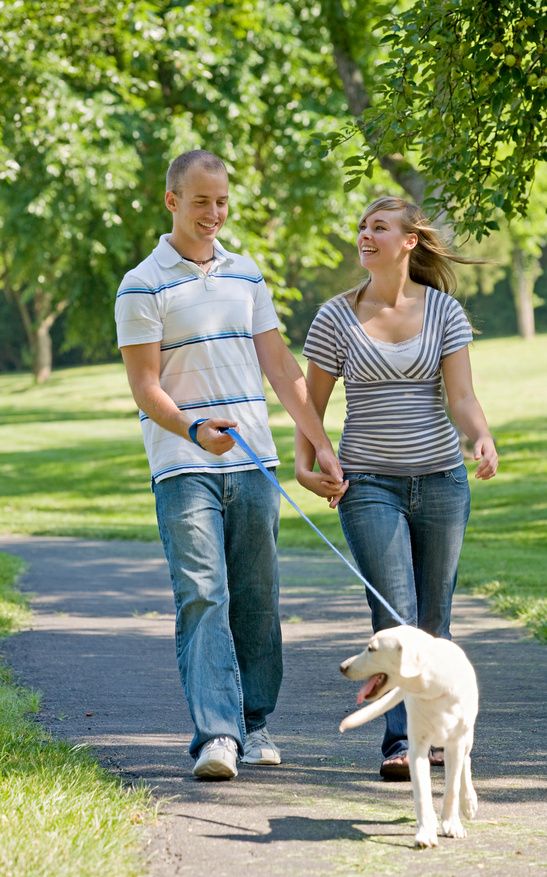 walkingdog