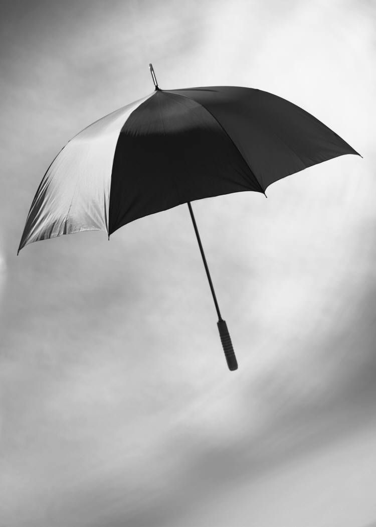 umbrella