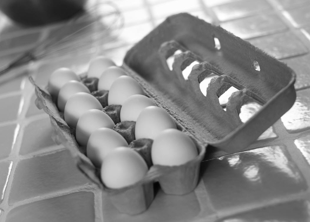 eggs