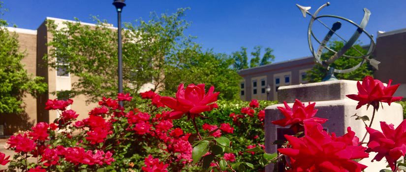 USC Aiken Fountain