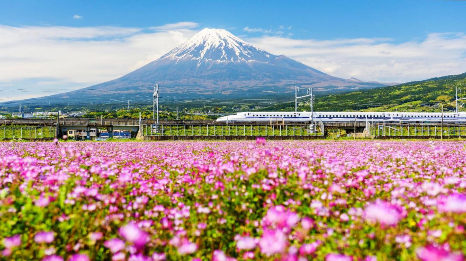 JAPAN #1 IN CONDÉ NAST TRAVELER’S 2023 READERS’ CHOICE AWARDS