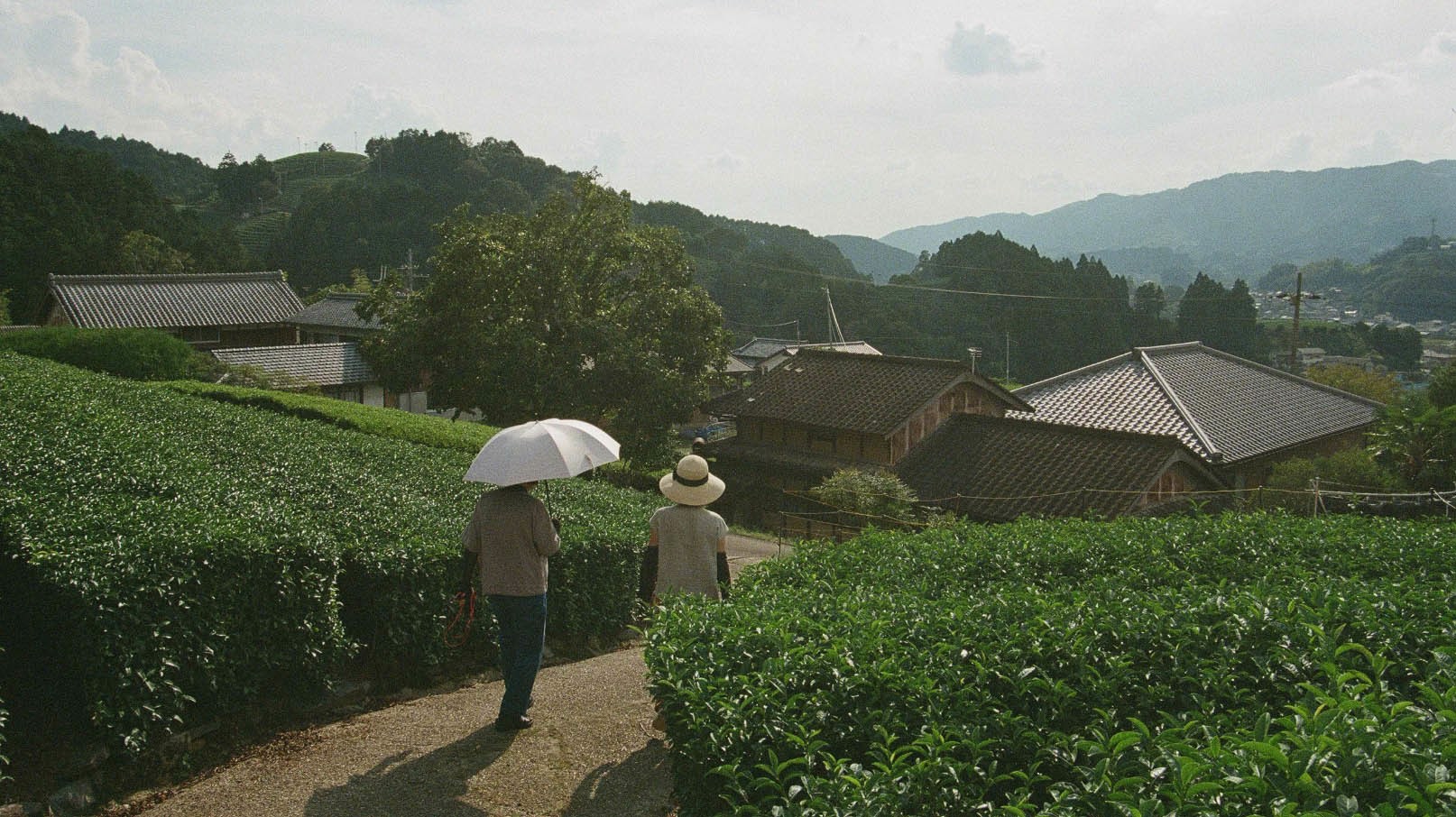 Vogue Reveals Tokyo's Enchanting Tea Culture