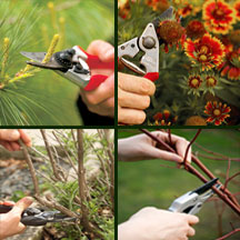 Prune your garden