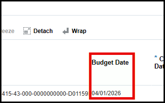 Screen capture of PO with Budget Date circled in red. 