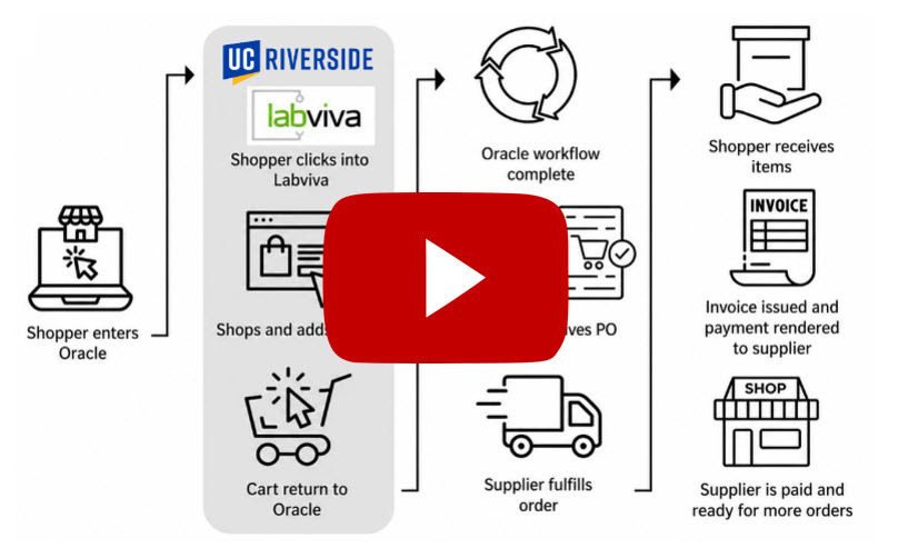 labviva process flow image