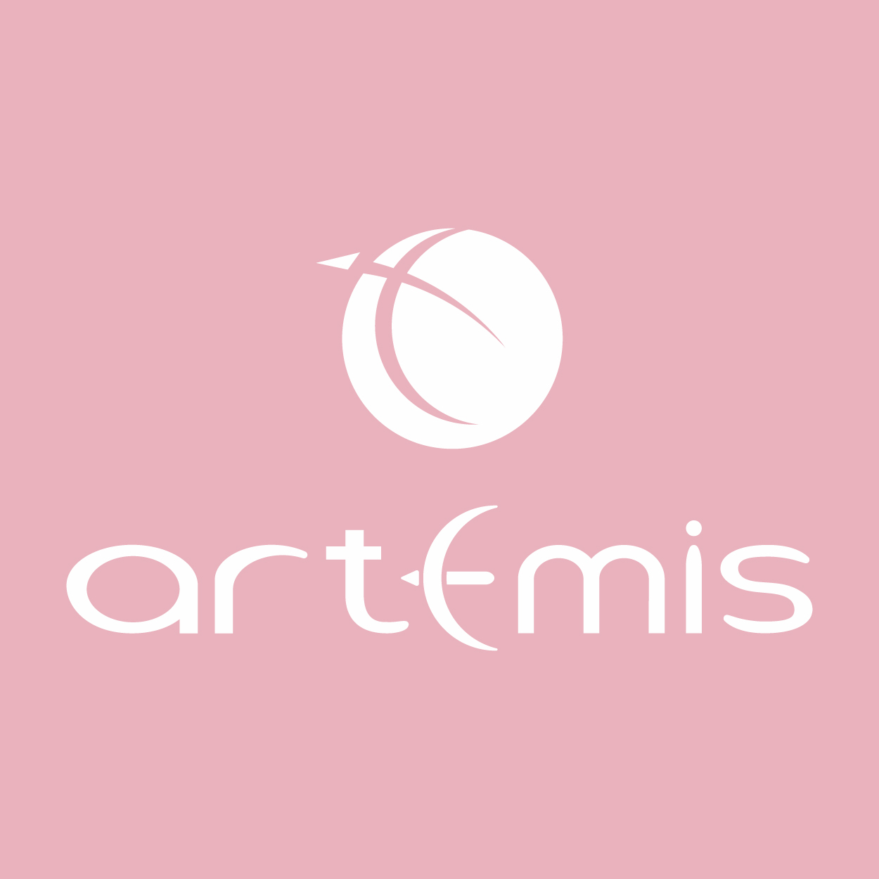 artemis2021.service@gmail.com