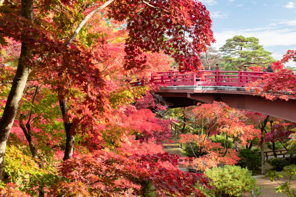 msend_syd@jnto.go.jp