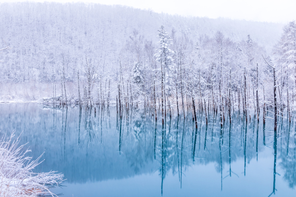 msend_syd@jnto.go.jp