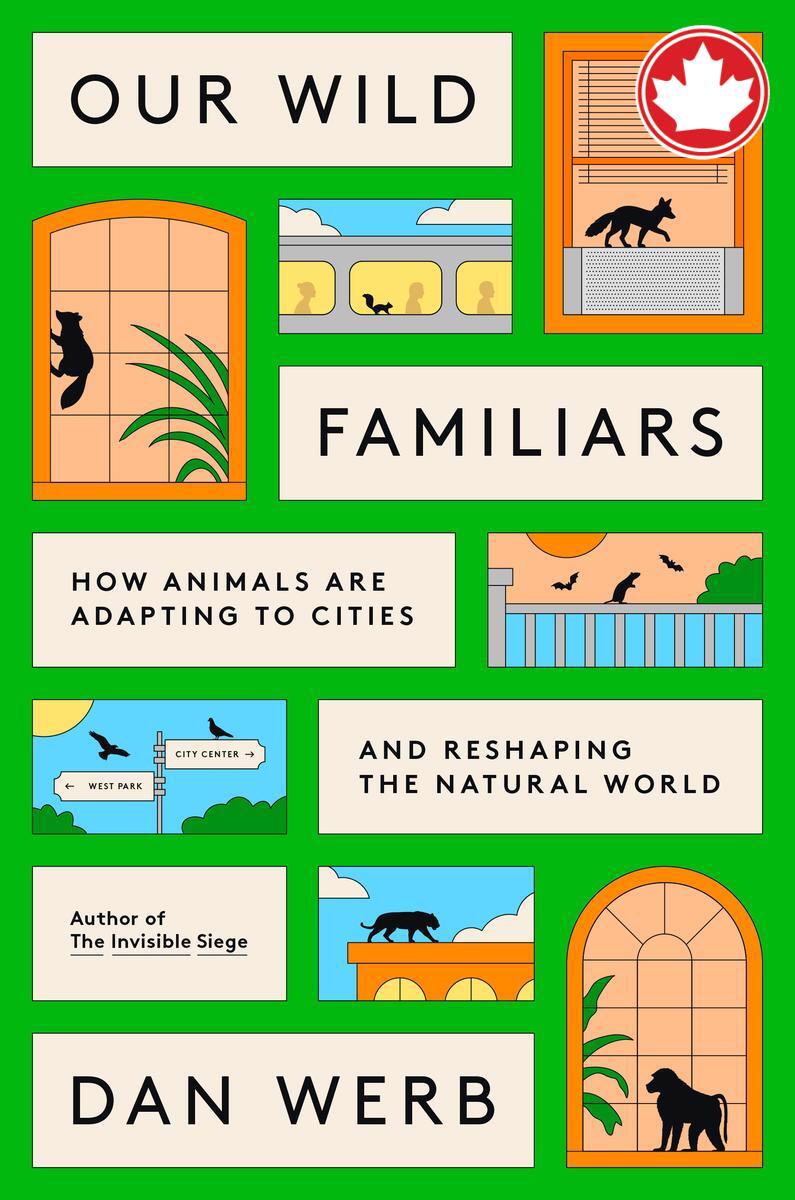 Our Wild FamiliarsHow Animals Are Adapting to Cities and Reshaping the Natural World Dan Werb  